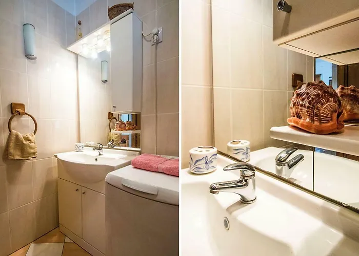 Calypso スプリト